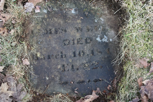 Gravestone of James Weeks, a Civil War Veteran, discovered by Michelle Andrews of Genance